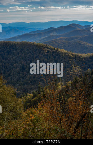 Spettacolare catena montuosa vistas da Charlies Bunion, Appalachian Trail, Great Smoky Mountains National Park, al di fuori di Gatlinburg, Tennessee, Stati Uniti d'America. Foto Stock