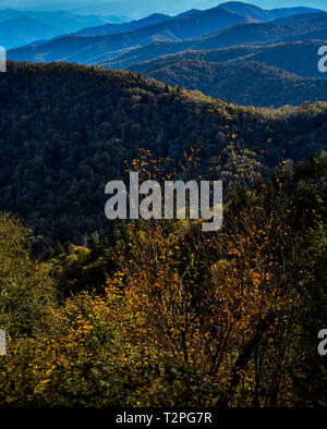 Spettacolare catena montuosa vistas da Charlies Bunion, Appalachian Trail, Great Smoky Mountains National Park, al di fuori di Gatlinburg, Tennessee, Stati Uniti d'America. Foto Stock