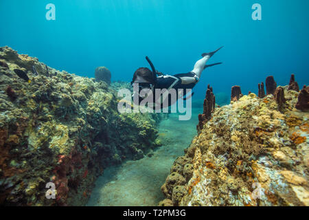 Snorkeller, esplora Coral reef, Soufrière, Dominica, dei Caraibi Foto Stock