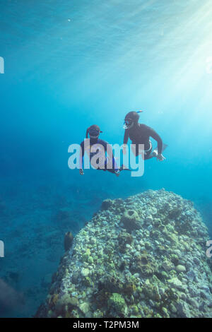 Snorkeling, Dominica, dei Caraibi Foto Stock