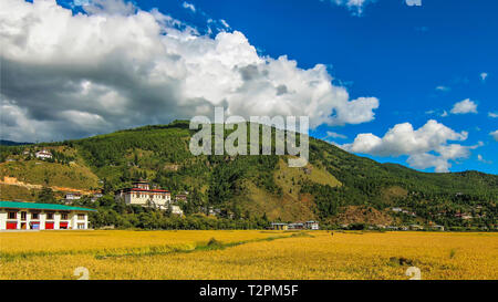 Le praterie di Thimpu e Tashichho Dzong in background Foto Stock