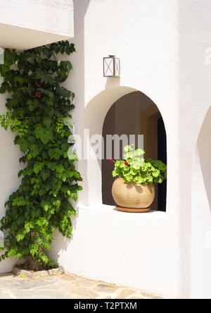 Pentola di creta con impianto di geranio e di vigna su una parete in Grecia Foto Stock