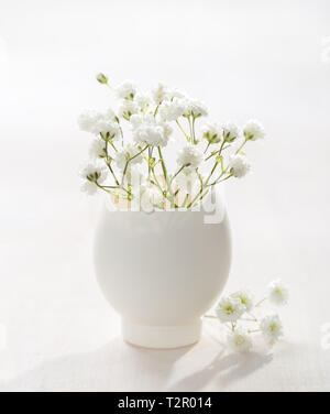 Mazzetto di bianco del bambino fiori respiro (Gypsophila) nel guscio delle uova sul bianco tavolato in legno. Profondità di campo, concentrarsi sul vicino a fiori. Decorazioni di pasqua Foto Stock