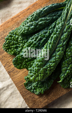 Un sano verde biologico Lacinato Kale pronto per cucinare Foto Stock