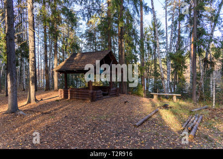 Piccola casa nel bosco sul bordo Foto Stock