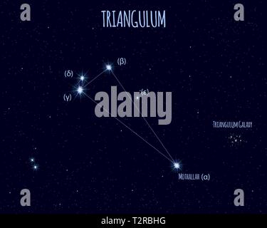 Triangulum (triangolo) costellazione, illustrazione vettoriale con i nomi delle stelle di base contro il cielo stellato Illustrazione Vettoriale