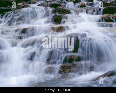 Canada, Alberta, Jasper National Park, groviglio cade cade sulla roccia calcarea; lungo la Icefields Parkway. Foto Stock