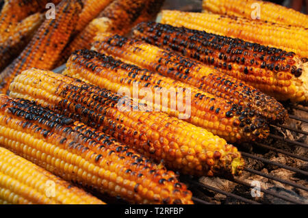 Il mais sulle braci Foto Stock