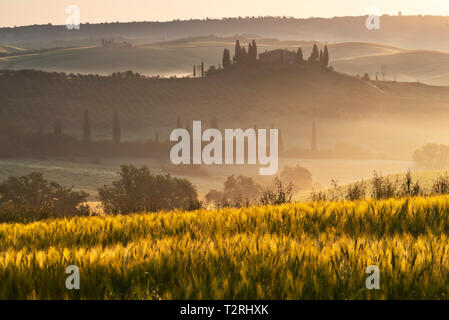 Belvedere agriturismo in Val d'Orcia, in provincia di Siena, Toscana, Italia, Europa Foto Stock