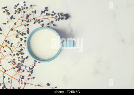 Tazza di latte accanto alle filiali sulla pietra di marmo Foto Stock