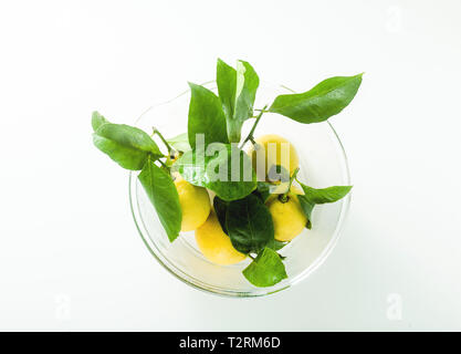 Alcuni freschi Limoni maturi con le foglie in una grande ciotola di vetro sul tavolo. Foto Stock