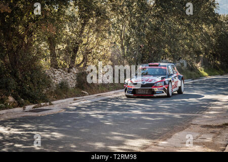 Regino, Corsica - 31 Marzo 2019. N. Gryazin & Y. Fedorov competere in fase speciale SS13 tra Regino e Montemaggiore in Corsica nel 2019 WRC T Foto Stock