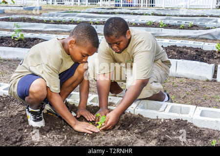 Miami Florida,Liberty City,Piazza,alloggi pubblici,cerimonia,dedicazione,giardino della comunità,complotto,assegnazione,urbano,ragazzi maschi ragazzi ragazzi ragazzi studenti s Foto Stock