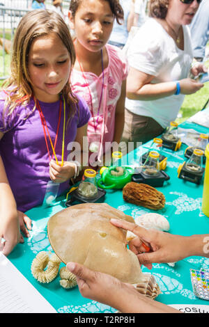 Miami Florida,Little Havana,Miami Dade,Miami Riverday,Jose Marti Park,al Education,festival,fair,Living green,ispanic girl girls,youngster,female kid Foto Stock