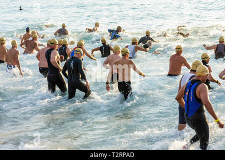 Miami Beach Florida,Nautica South Beach Triathlon,Oceano Atlantico,acqua,riva,sport,fitness,segmento nuoto,nuotatore,atleta,concorrenti,start,uomo maschio Foto Stock