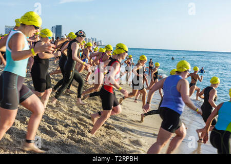 Miami Beach Florida, Nautica South Beach Triathlon, Oceano Atlantico, acqua, riva, sport, fitness, segmento nuoto, nuotatore, atleta, concorrenti, donne donne Foto Stock