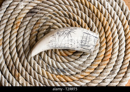 Scrimshaw carving di South Seas nave baleniera su whalebone Foto Stock