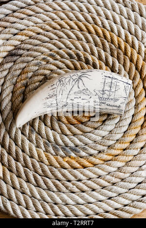 Scrimshaw carving di South Seas nave baleniera su whalebone Foto Stock