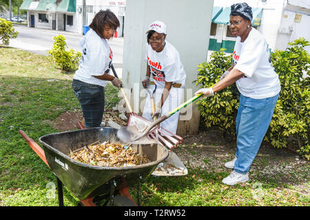 Miami Florida,Overtown,Peace Park,Global Youth Service Day,Tree Trees Planting,volontariato servizio comunità lavoratori volontari lavoro Foto Stock