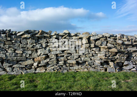 Stalattite parete su terreni agricoli. Costruito interamente in pietra tali pareti formano i confini tra i campi su terreni agricoli. North Yorkshire, Regno Unito. Foto Stock