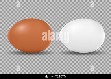Due vettore realistico pollo bianco e uova marroni. Uova isolate per pasqua su sfondo trasparente. Illustrazione Vettoriale