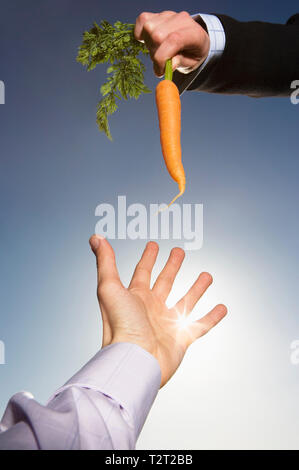 Imprenditore caucasico raggiungendo per una carota Foto Stock