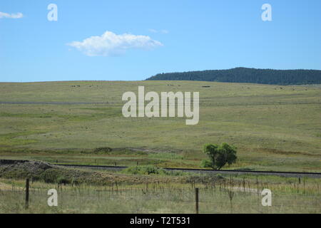 Colorado paesaggio vicino castello di roccia Foto Stock