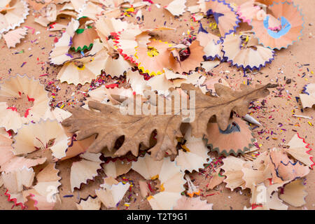 Foglia secca in mezzo a matita colorata la rasatura Foto Stock