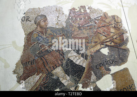 Mosaico romano. Chariot racing nel circus. 4 cent. Dal vecchio Palazzo Reale. Antica Barcino (Barcellona). Spagna. Foto Stock