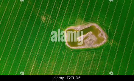 Pozza nel mezzo del campo vista aerea Foto Stock