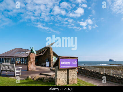 A North Berwick, East Lothian, Scozia, Regno Unito, 4 aprile 2019. Scozzese Centro di uccello riapre dopo 3 mesi di lavori di ristrutturazione e rinnovo. Un bronzo arctic tern scultura di Geoffrey Dashwood al di fuori del centro visitatori Foto Stock