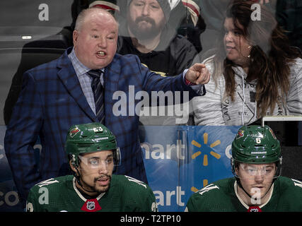 San Paolo, MN, Stati Uniti d'America. 24 Febbraio, 2019. Minnesota Wild head coach Bruce Boudreau nel terzo periodo contro il St. Louis Blues il 24 febbraio 2019, presso l'Xcel Energy Center di San Paul, Minn. Martedì, 2 aprile 2019, il selvaggio ha sconfitto la visita di getti di Winnipeg, 5-1. Credito: Carlos Gonzalez/Minneapolis Star Tribune/ZUMA filo/Alamy Live News Foto Stock