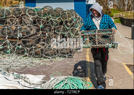 Schull, West Cork, Irlanda. 1 apr, 2019. Un pescatore locale prepara i suoi granchi e aragoste di vasi per un viaggio di pesca su una calda e soleggiata giornata. Il giorno rimarrà soleggiato con docce sparse con top temps di 6 a 9°C. Credito: Andy Gibson/Alamy Live News. Foto Stock