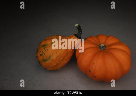 Arancione zucca in ombra misteriosa. Foto Stock