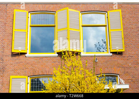 L'Aia - aprile, 15: molto bella casa gialla ingresso con giallo porta anteriore con giallo bashes on April 15, 2018 in Scheveningen, l'Aia, Ne Foto Stock