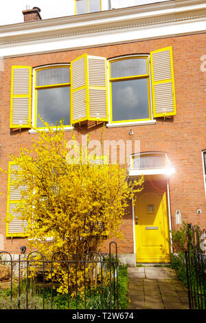 L'Aia - aprile, 15: molto bella casa gialla ingresso con giallo porta anteriore con giallo bashes on April 15, 2018 in Scheveningen, l'Aia, Ne Foto Stock