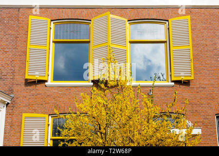 L'Aia - aprile, 15: molto bella casa gialla ingresso con giallo porta anteriore con giallo bashes on April 15, 2018 in Scheveningen, l'Aia, Ne Foto Stock