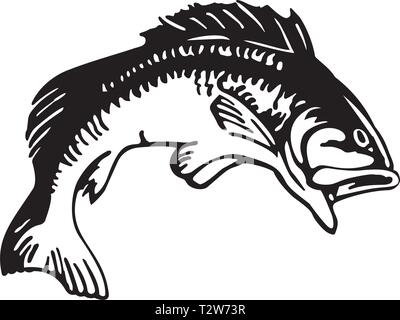 Illustrazione dei bassi Illustrazione Vettoriale