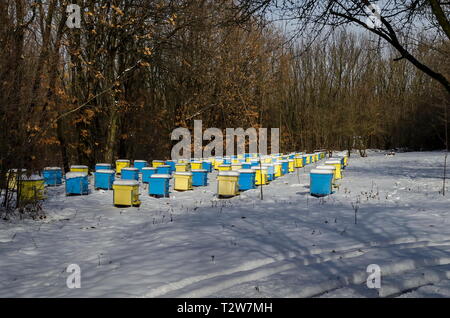 Vista nevoso verso apiario con bee hive nel campo invernale a bosco di latifoglie, Zavet town, Bulgaria Foto Stock