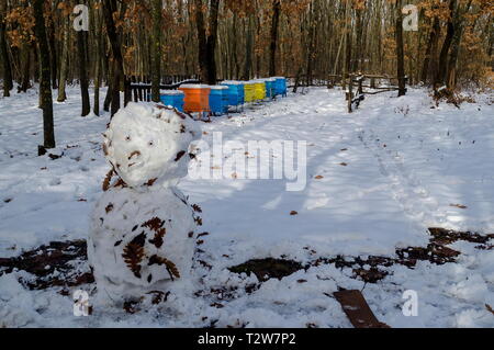 Vista nevoso verso apiario con alveare e il pupazzo di neve in inverno campo al bosco di latifoglie, Zavet town, Bulgaria Foto Stock