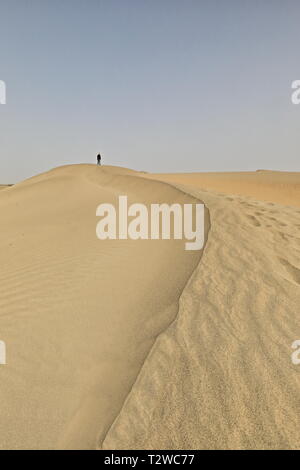 Spostamento dune di sabbia-deserto Takla Makan. Hongkang-Xinjiang Uyghur regione-Cina-0006 Foto Stock