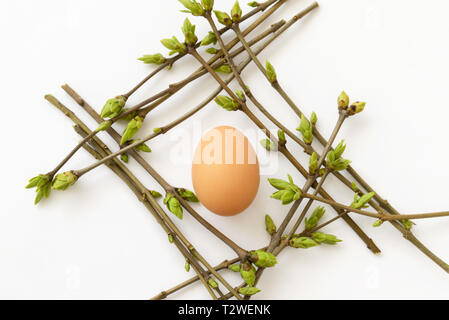 Pasqua-composizione primaverile con uovo in un nido di ramoscelli in erba su sfondo bianco, vista dall'alto Foto Stock