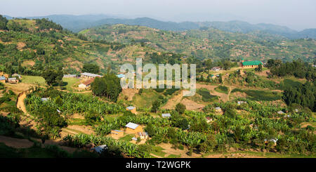 Banana e piantagioni di tè in paese collinare a nord del Lago Bunyonyi e nel sud ovest dell Uganda, Africa orientale Foto Stock