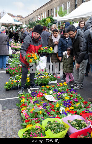 Columbia Road flower market su una domenica mattina di marzo, Bethnal Green, Tower Hamlets, Greater London, London, England, Regno Unito, Europa Foto Stock