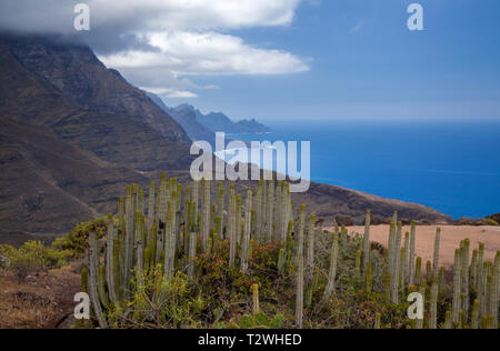 Gran Canaria, Marzo, paesaggi di Agaete comune, percorso escursionistico San Pedro - Puerto de las Nieves, vista verso Faneque, Europa più alto dirupo abo Foto Stock