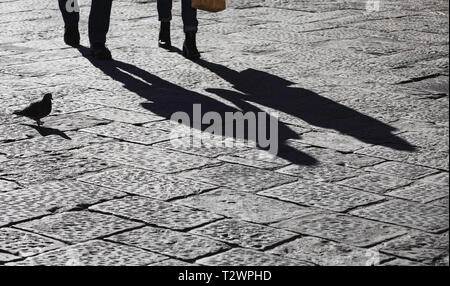 Firenze, Toscana, Italia. Picture Data: domenica 24 febbraio, 2019. Fotografia da Christopher Ison © Foto Stock