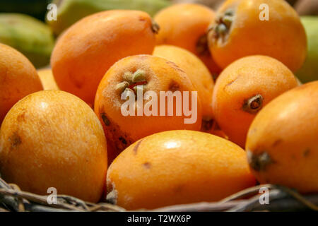 Dolce primavera estate frutta fresche Nespole del Giappone in un cestello, close up illuminata dal sole Foto Stock