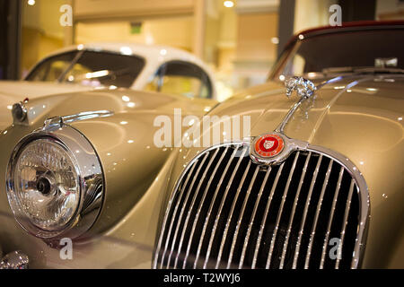 Poznan - Polonia / 28 Marzo 2019 dettaglio del marchio Jaguar sul cofano del bellissimo classico beige XK150 Foto Stock