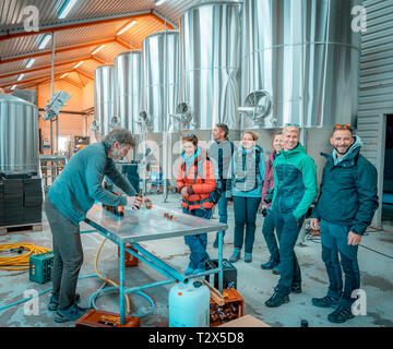 I turisti la degustazione della birra presso il birrificio Qajaq, Narsaq in Groenlandia Foto Stock