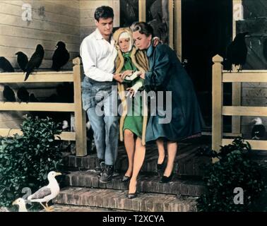 ROD TAYLOR, TIPPI HEDREN, JESSICA TANDY, gli uccelli, 1963 Foto Stock